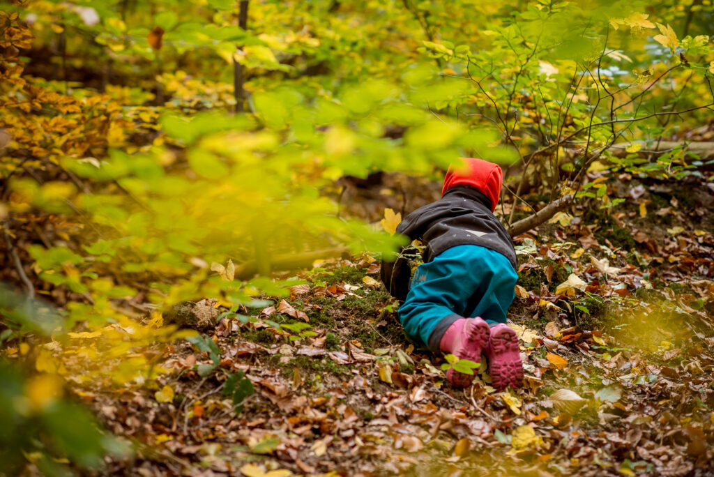 Kinder aus dem Waldklub WALDKIND im Wald am Kamzík in Bratislava